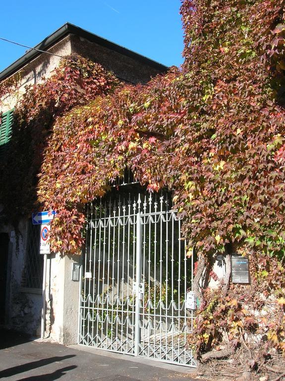 B&B Leon D'Oro Pusiano Pokoj fotografie